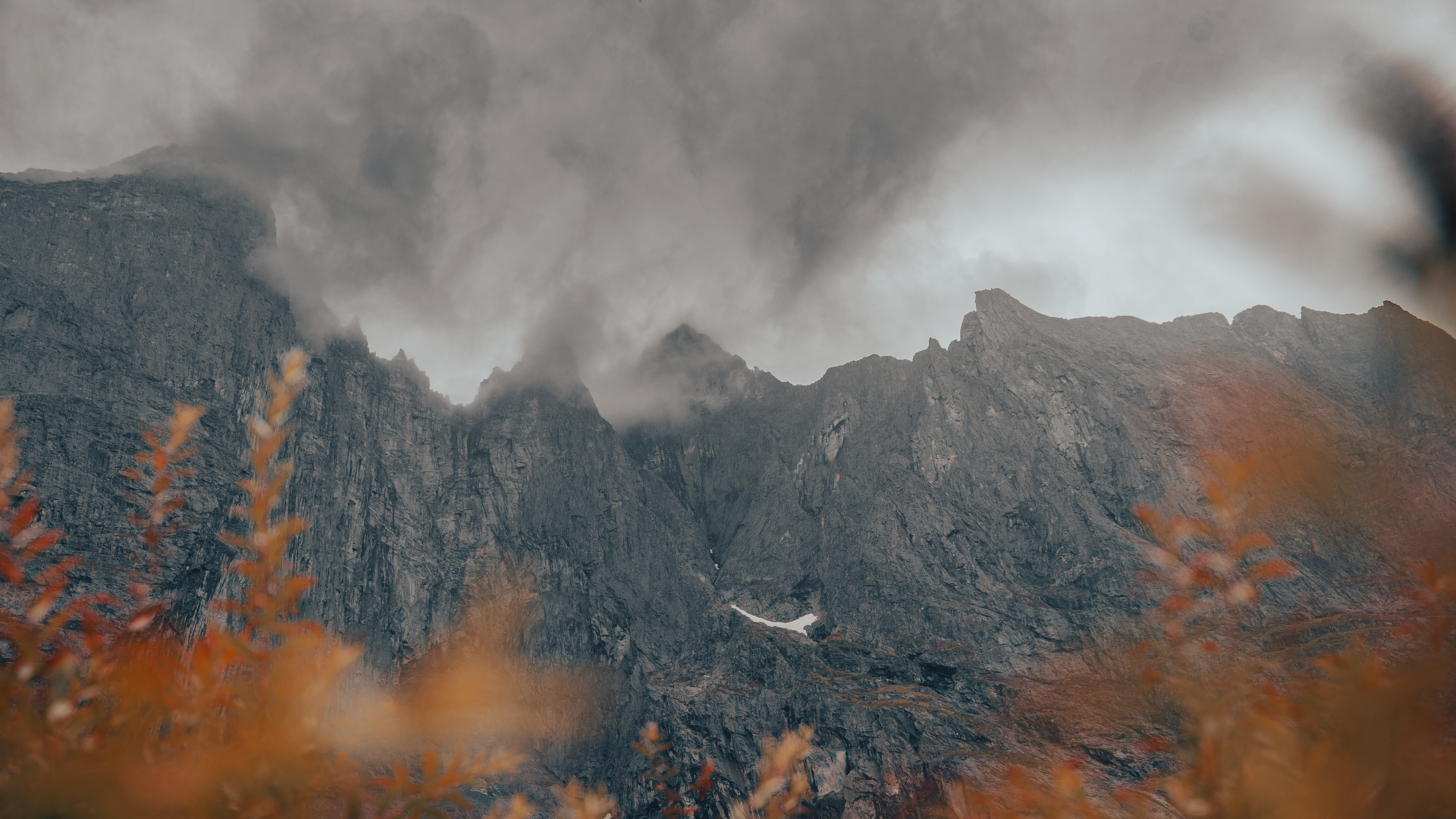 Natur